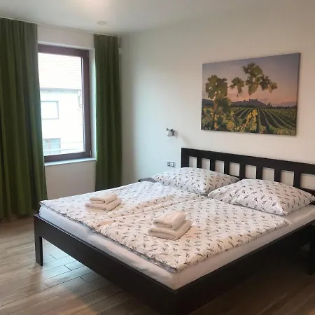 Guest house Vinarsky Dum V Zahrade Pasohlavky