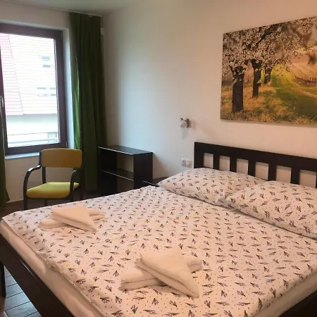 Guest house Vinarsky Dum V Zahrade Pasohlavky
