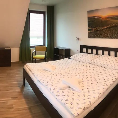Vinarsky Dum V Zahrade Guest house Pasohlavky